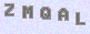 manual verify